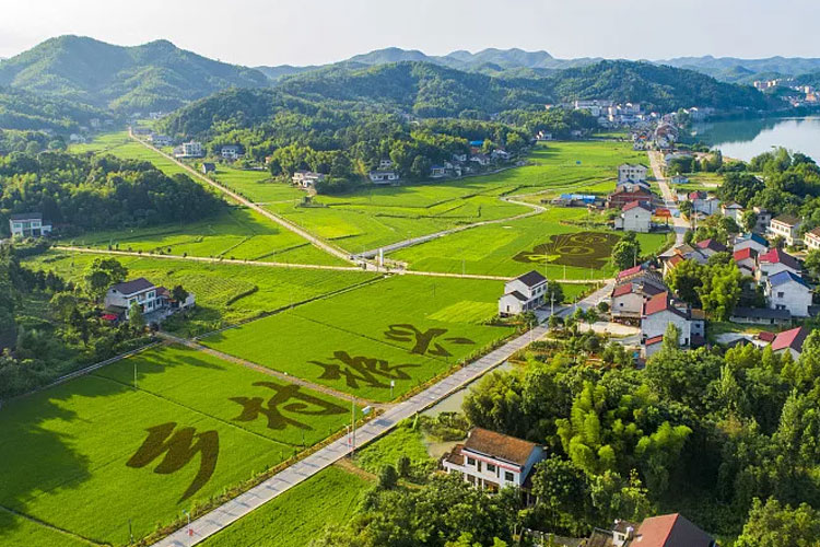村落振兴